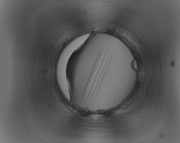 X0000094220748200711241721