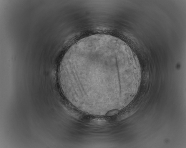 X0000094220749200711241721