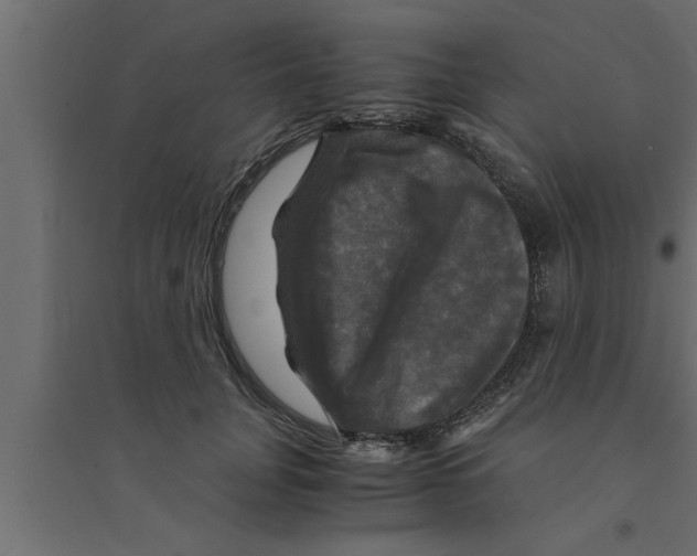 X0000094220751200711241721