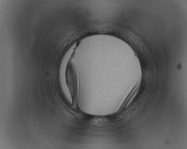 X0000094220752200711241721