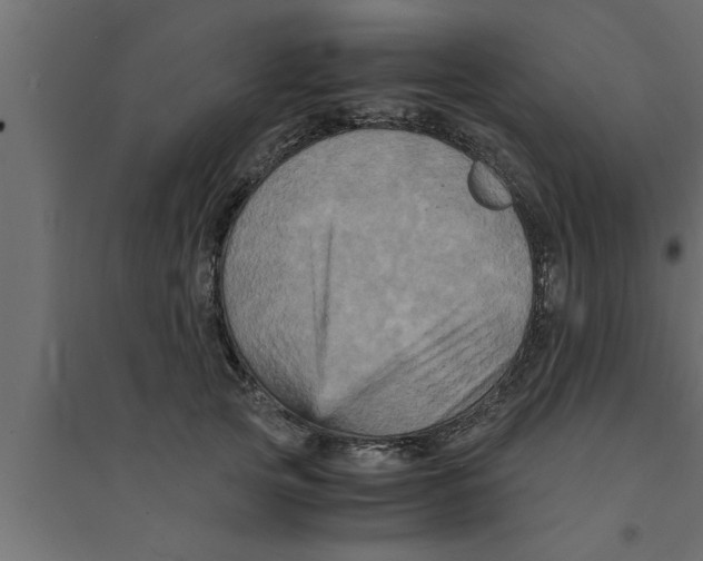 X0000094220753200711241721