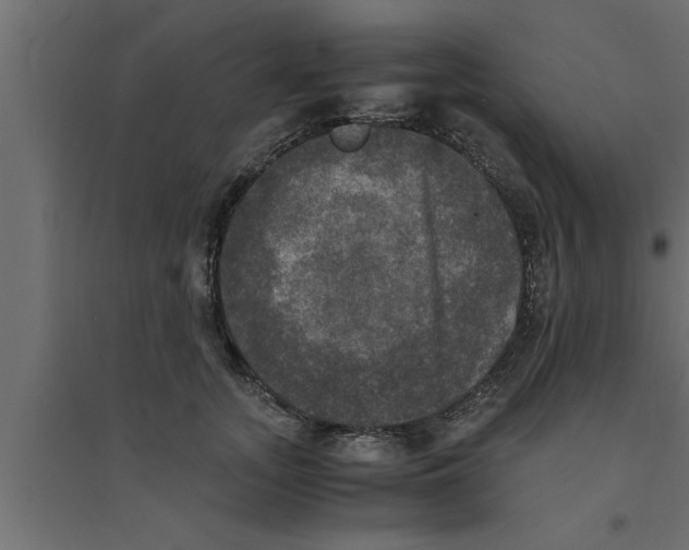 X0000094220755200711241721