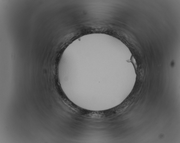 X0000094220756200711241721