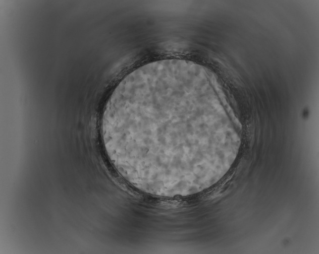 X0000094220757200711241721