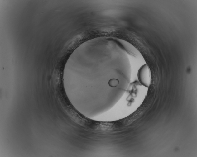 X0000094220758200711241721