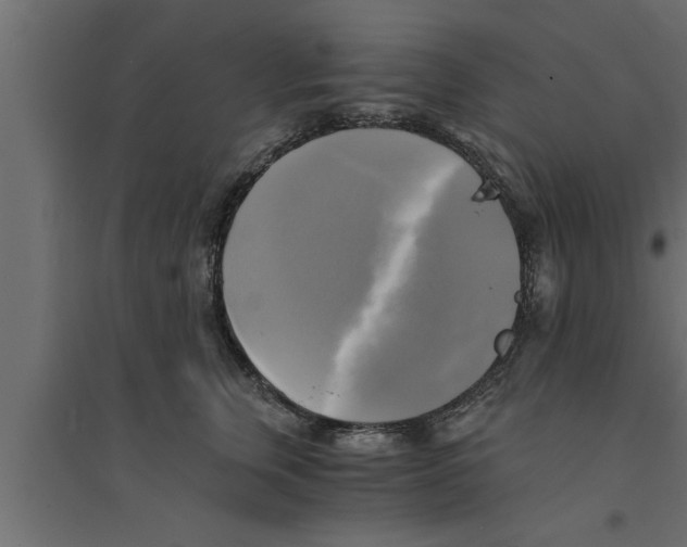 X0000094220759200711241721