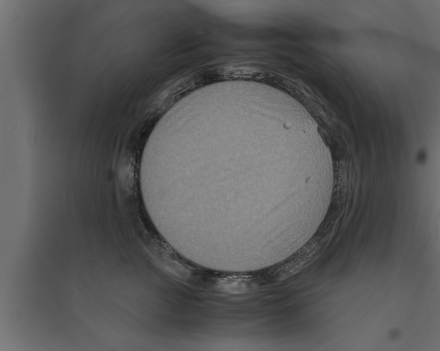 X0000094220761200711241721