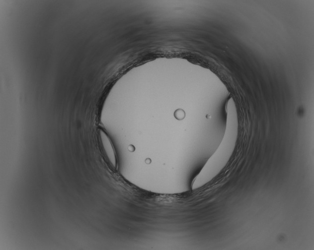 X0000094220762200711241721