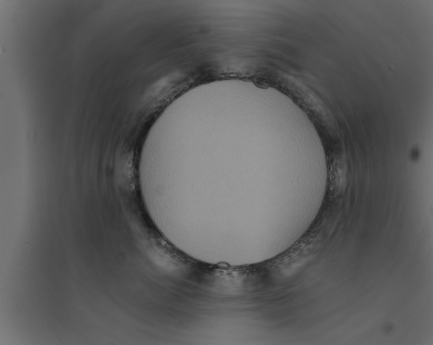 X0000094220764200711241721