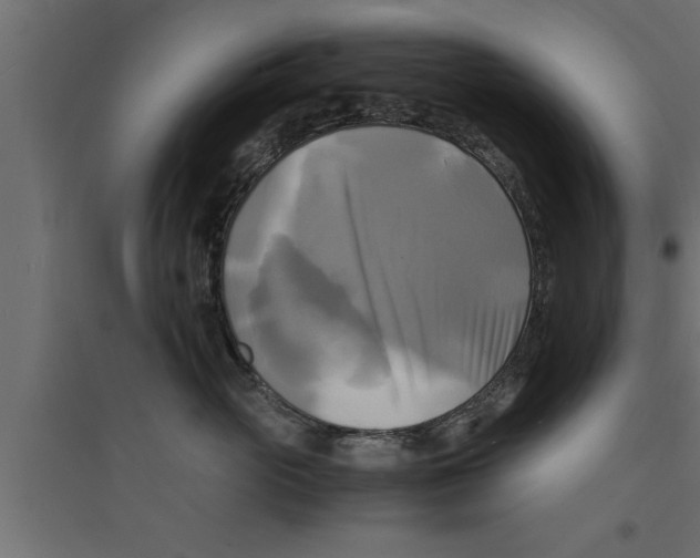 X0000094220765200711241721