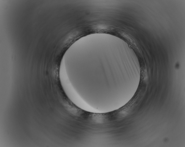 X0000094220766200711241721