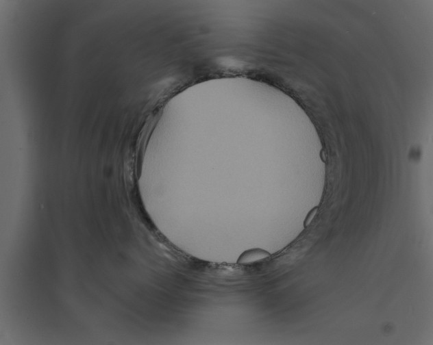 X0000094220768200711241721