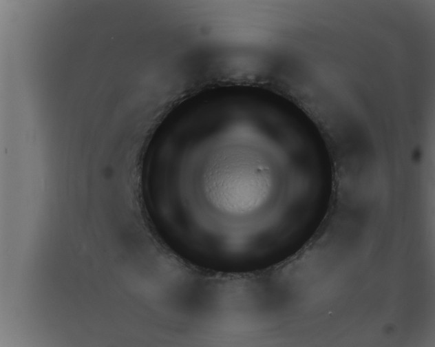 X0000094220769200711241721