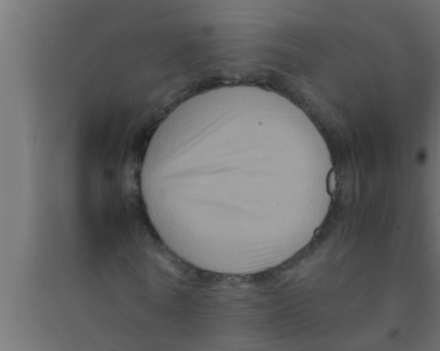 X0000094220770200711241720