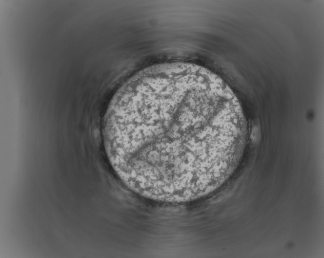 X0000094220771200711241720