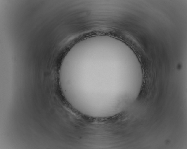 X0000094220773200711241720