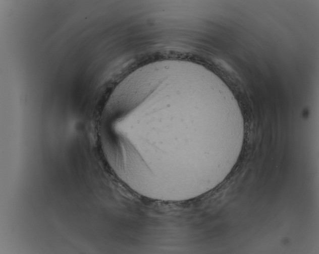 X0000094220774200711241720