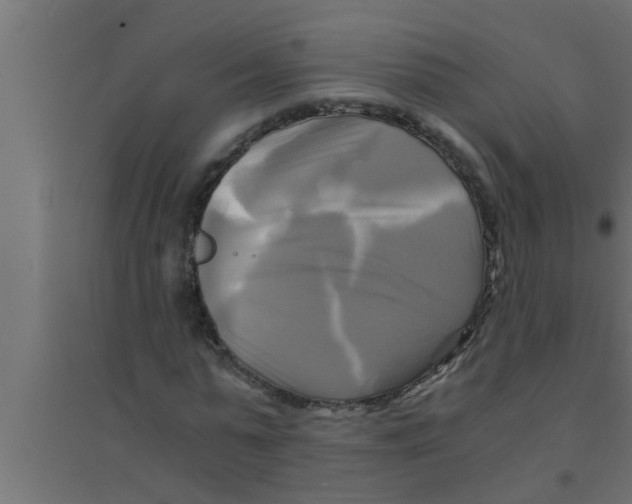 X0000094220775200711241720