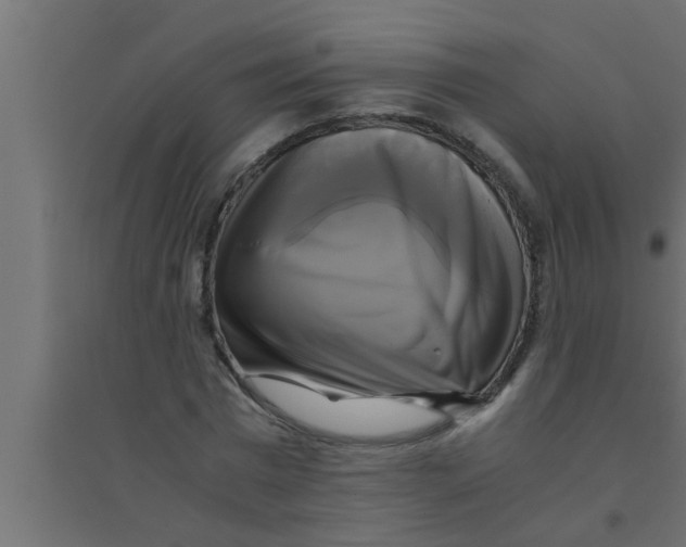 X0000094220777200711241720