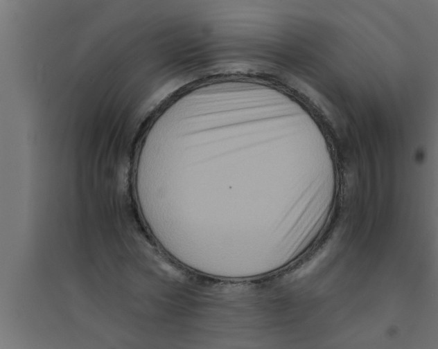 X0000094220778200711241720