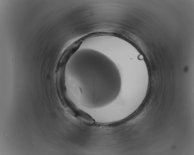 X0000094220779200711241720