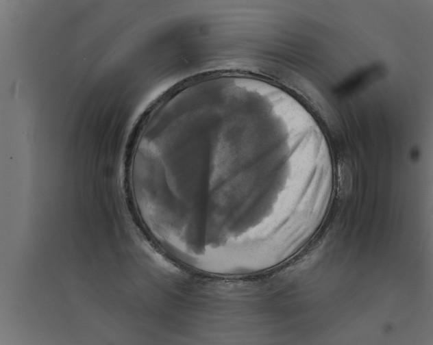 X0000094220780200711241720