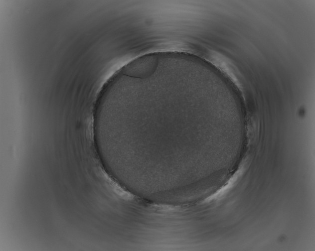 X0000094220781200711241720