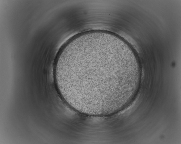 X0000094220782200711241720