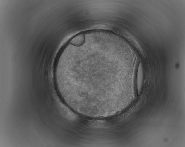 X0000094220784200711241720