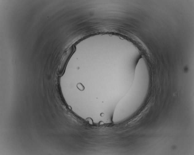 X0000094220785200711241720