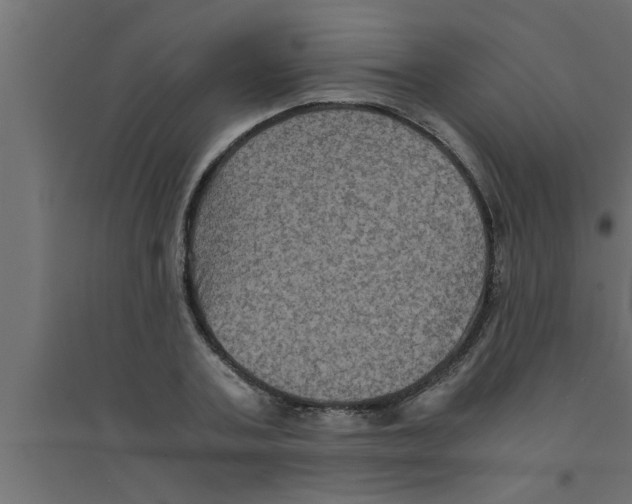 X0000094220787200711241720