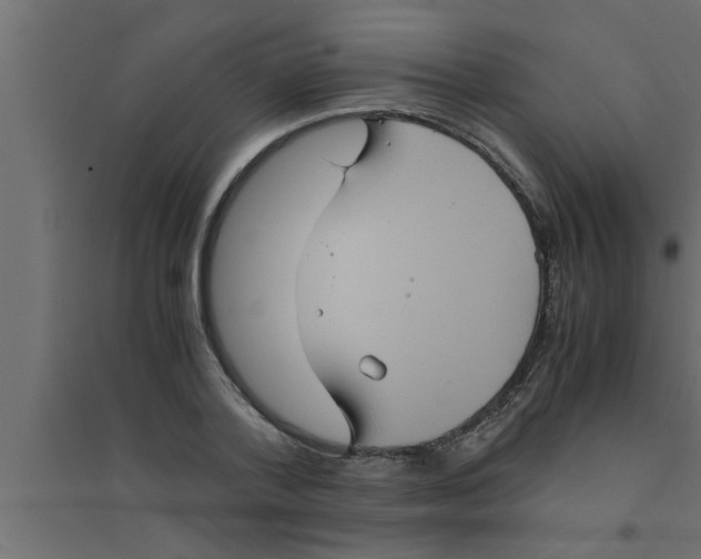 X0000094220788200711241720