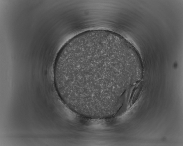 X0000094220789200711241720