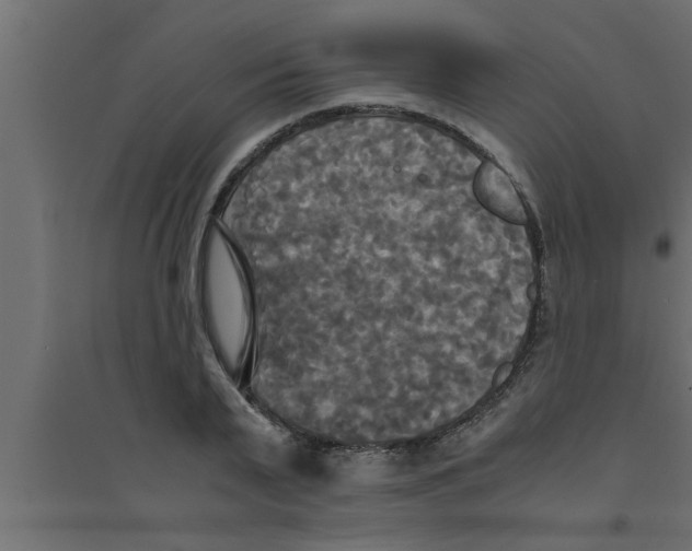 X0000094220791200711241720