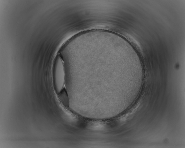 X0000094220792200711241720