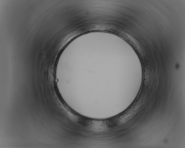 X0000094220794200711241720