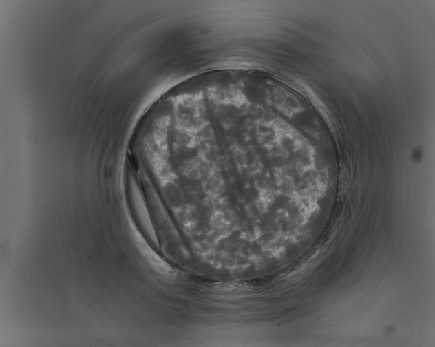 X0000094220795200711241720