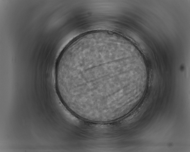 X0000094220796200711241720