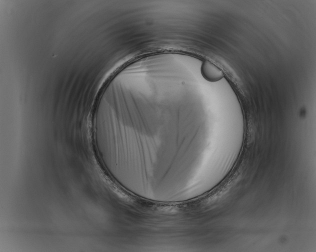 X0000094220798200711241720