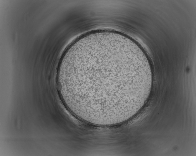 X0000094220799200711241720