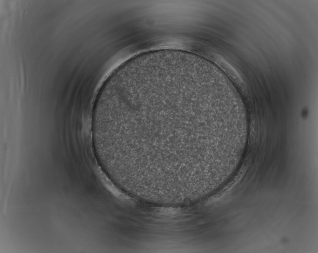 X0000094220800200711241720