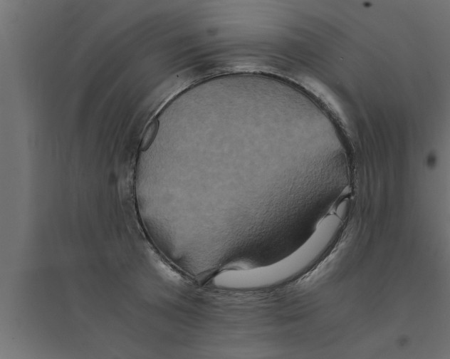 X0000094220801200711241720