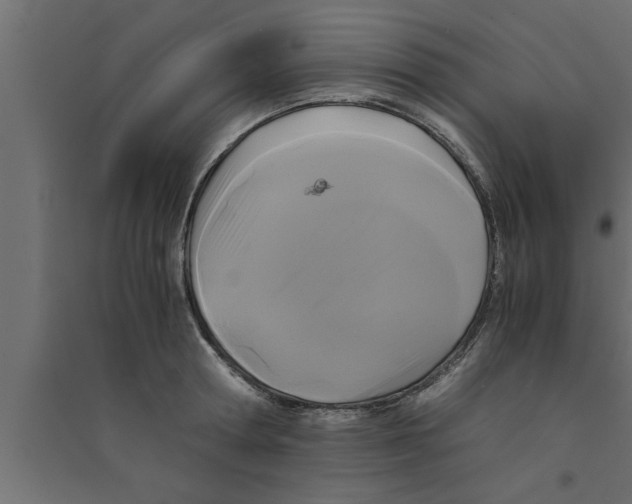 X0000094220802200711241720