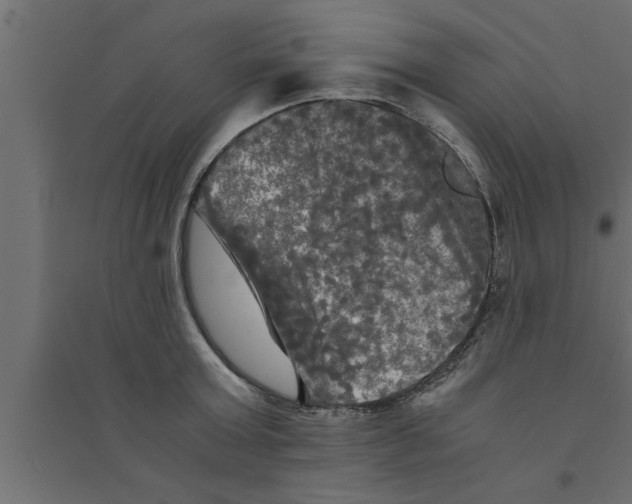 X0000094220803200711241720