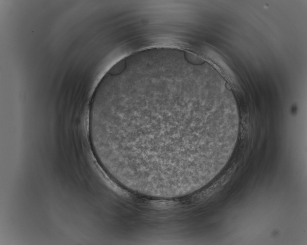 X0000094220804200711241720