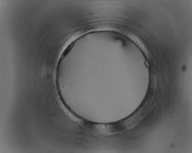 X0000094220805200711241720