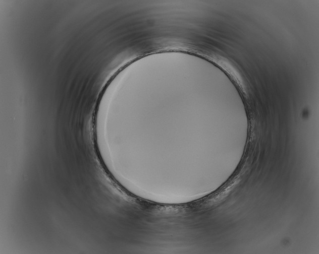 X0000094220806200711241720