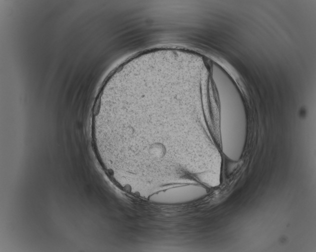 X0000094220807200711241720