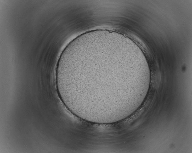 X0000094220808200711241720