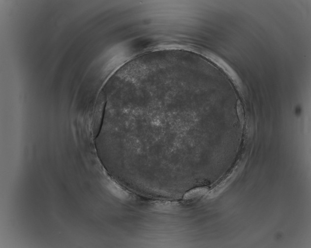 X0000094220809200711241720